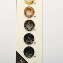 MONOHORN1