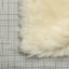 CS029-SILK
