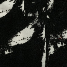 51202FSKN445