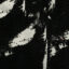 51202FSKN445
