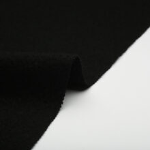 FUJI-001